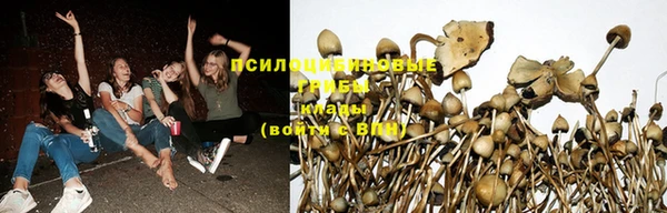 ECSTASY Бугульма