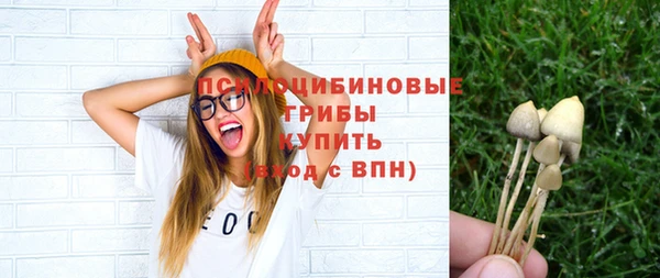 молекула духа Елабуга
